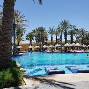 Meet your Posher, Oscar